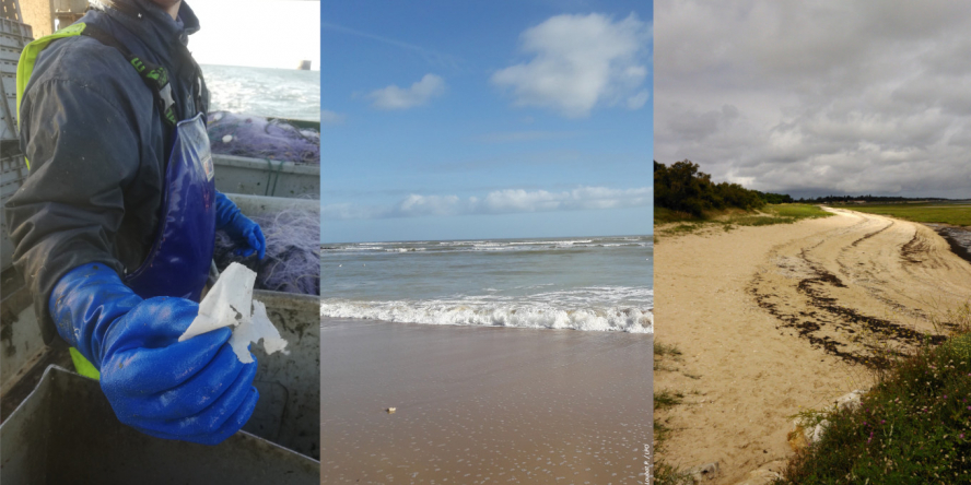 Plage, et gestion des déchets